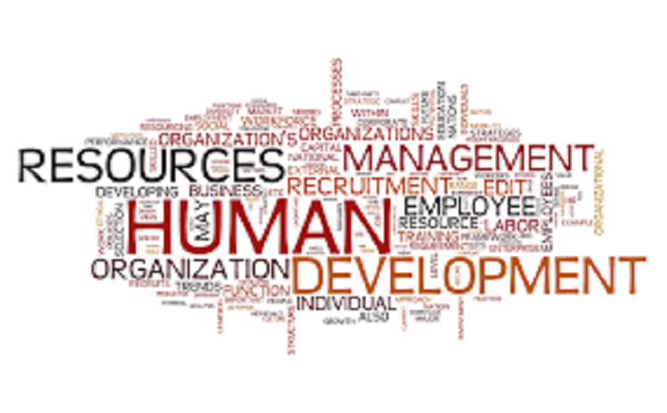 Human Resource Executive Resume Sample